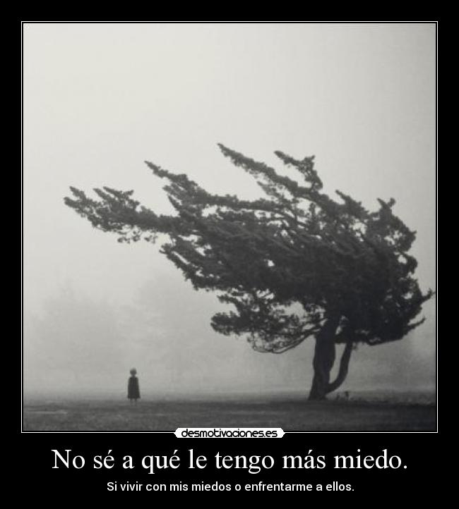 No sé a qué le tengo más miedo. - Si vivir con mis miedos o enfrentarme a ellos.