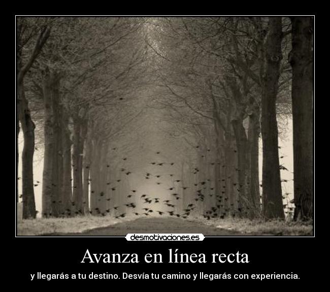 Avanza en línea recta - y llegarás a tu destino. Desvía tu camino y llegarás con experiencia.