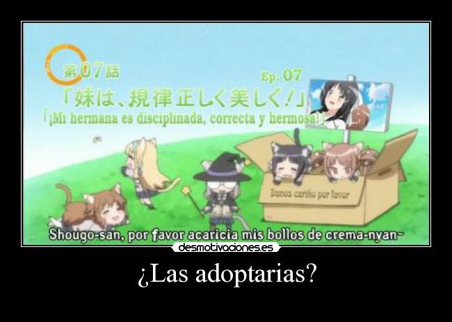 ¿Las adoptarias? -