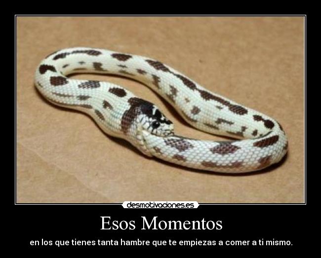 Esos Momentos - en los que tienes tanta hambre que te empiezas a comer a ti mismo.
