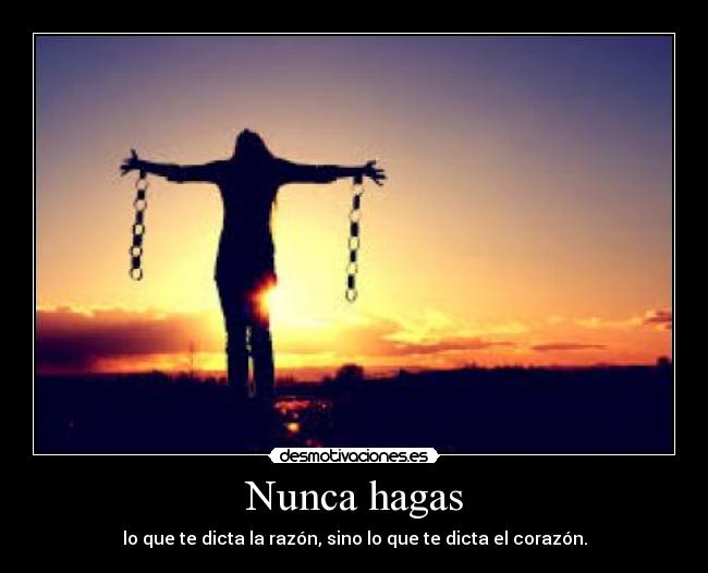 Nunca hagas - lo que te dicta la razón, sino lo que te dicta el corazón.