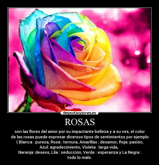 ROSAS - son las flores del amor por su impactante belleza y a su ves, el color
de las rosas puede expresar diversos tipos de sentimientos por ejemplo
( Blanca : pureza, Rosa : ternura, Amarillas : desamor, Roja: pasión,
Azul: agradecimiento, Violeta : larga vida,
Naranja: deseos, Lila : seducción, Verde : esperanza y La Negra :
todo lo malo.