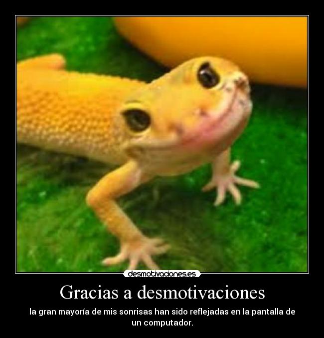 Gracias a desmotivaciones -