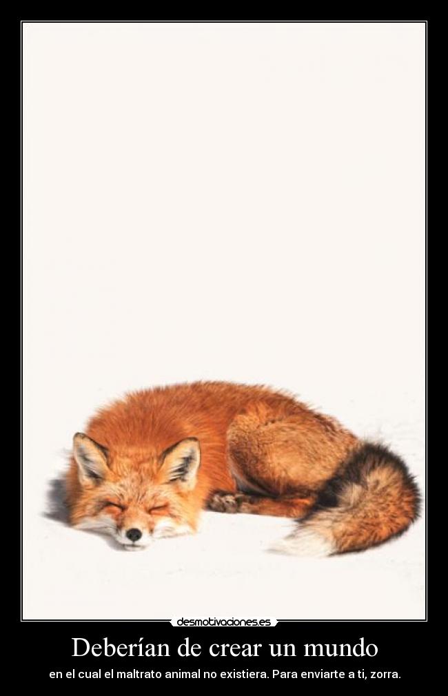 Deberían de crear un mundo - en el cual el maltrato animal no existiera. Para enviarte a ti, zorra.