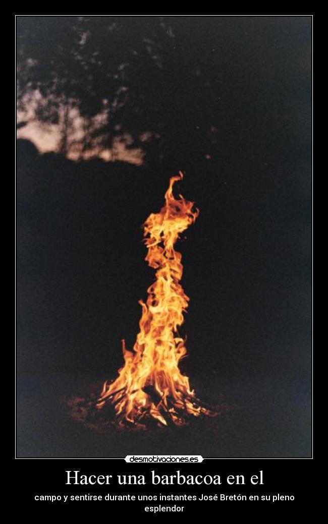 Hacer una barbacoa en el -