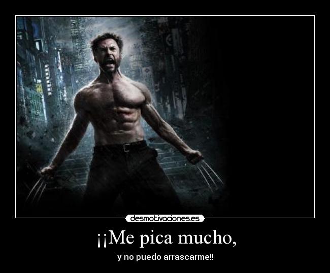 carteles iron desmotivaciones