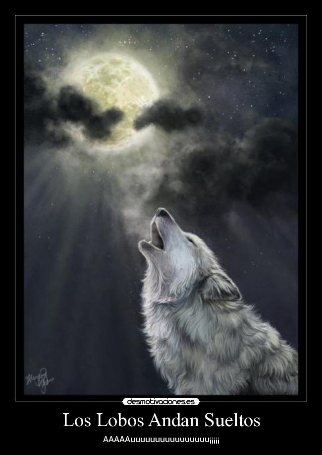 carteles torolovelobo desmotivaciones