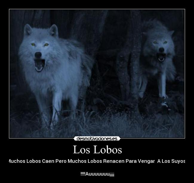 carteles torolovelobo desmotivaciones