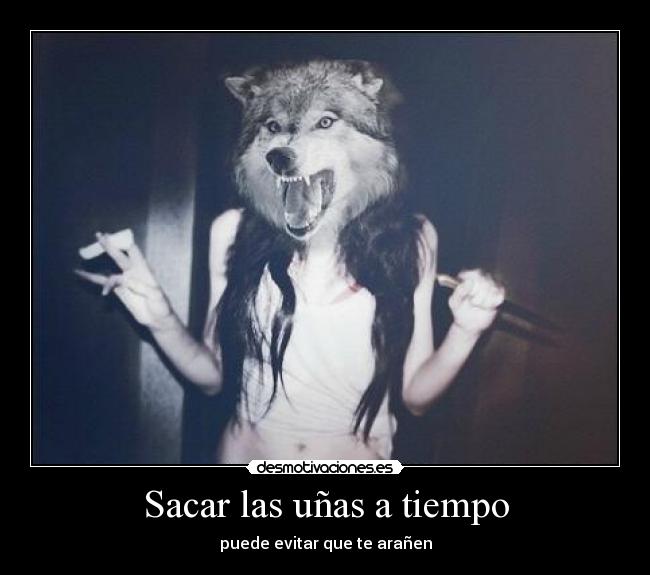 Sacar las uñas a tiempo - puede evitar que te arañen