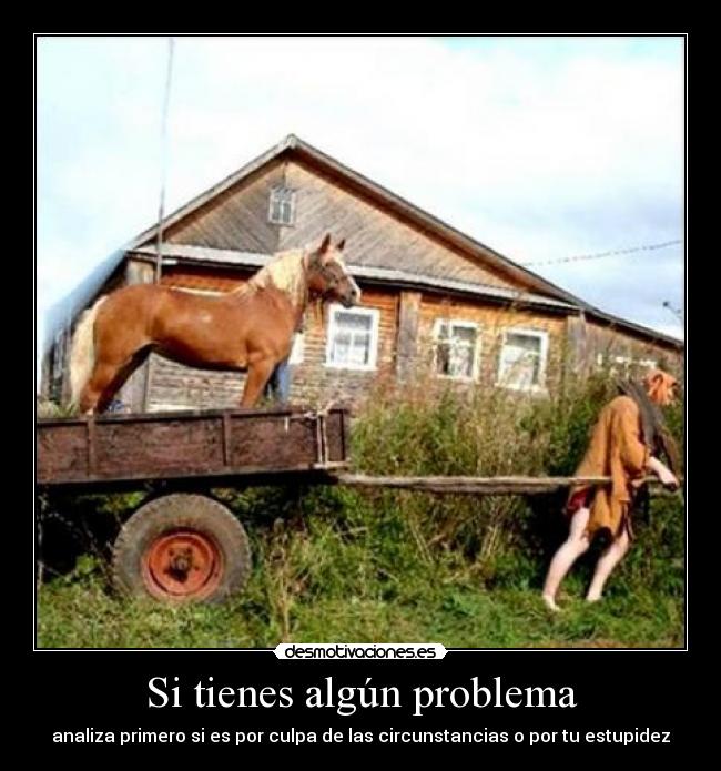 Si tienes algún problema - analiza primero si es por culpa de las circunstancias o por tu estupidez