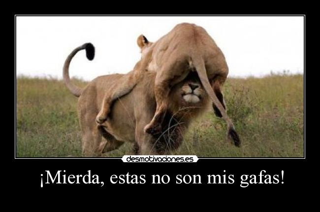 ¡Mierda, estas no son mis gafas! -