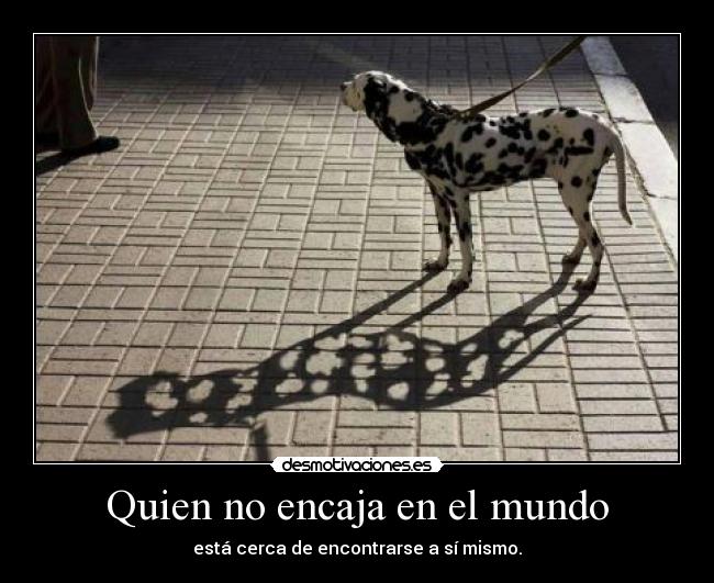 Quien no encaja en el mundo - está cerca de encontrarse a sí mismo.