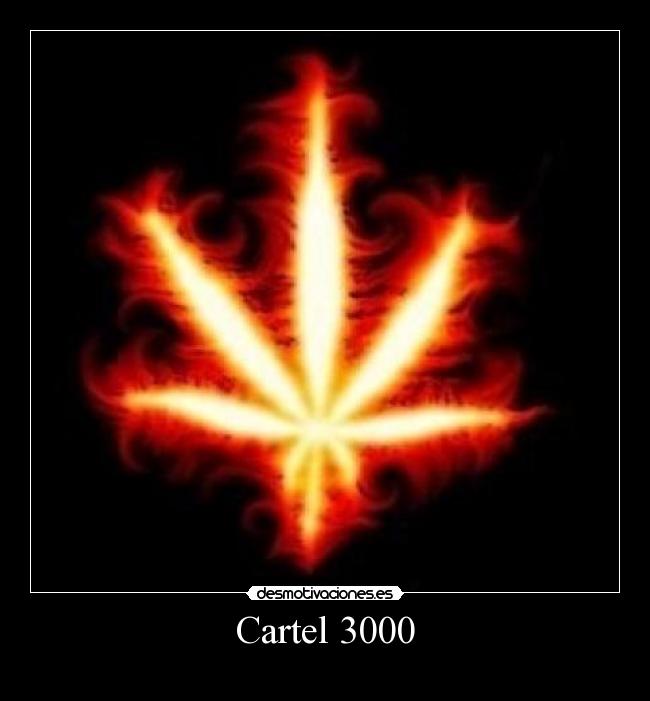 Cartel 3000 - 