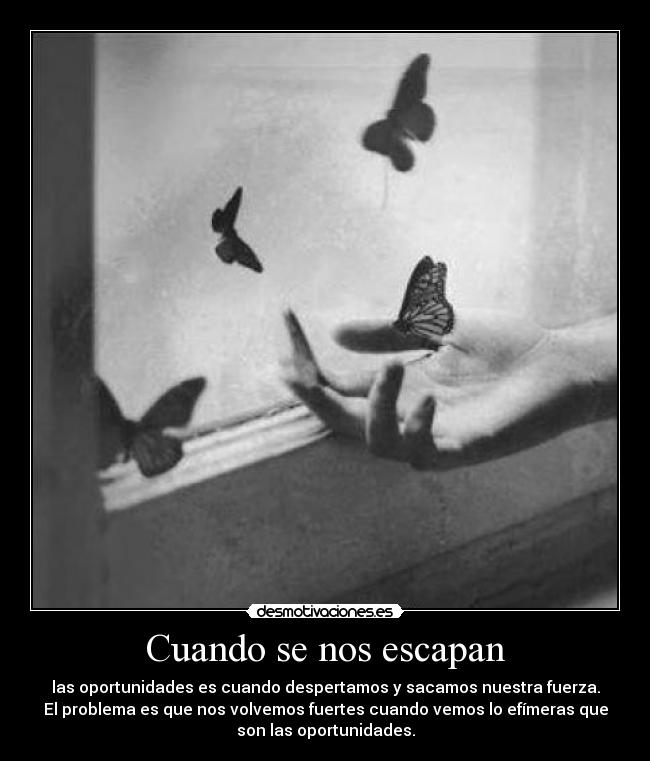 Cuando se nos escapan -