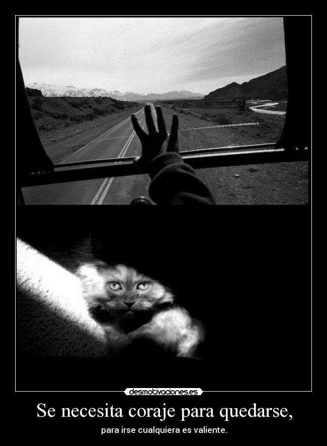 Se necesita coraje para quedarse, - 