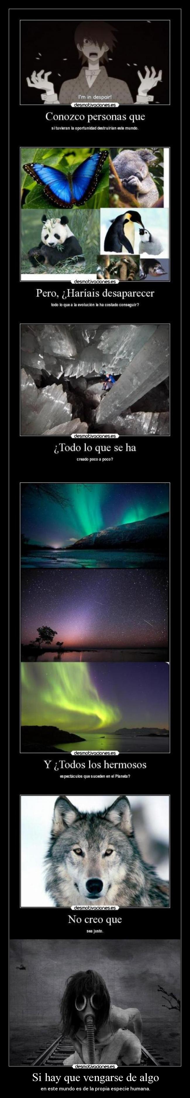 Si hay que vengarse de algo -