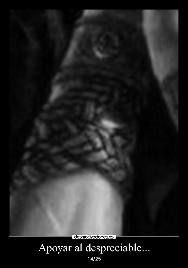 Apoyar al despreciable... -