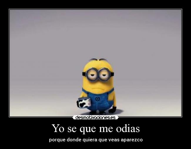 Yo se que me odias - 