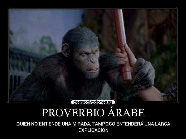 carteles memes desmotivaciones