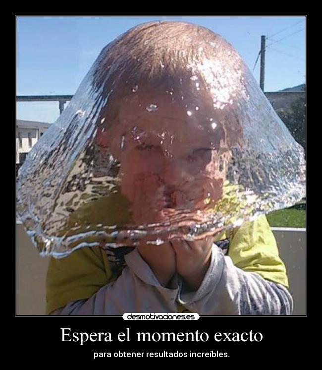 Espera el momento exacto - para obtener resultados increíbles.