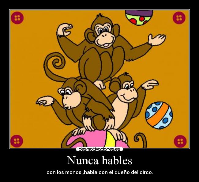 Nunca hables - con los monos ,habla con el dueño del circo.