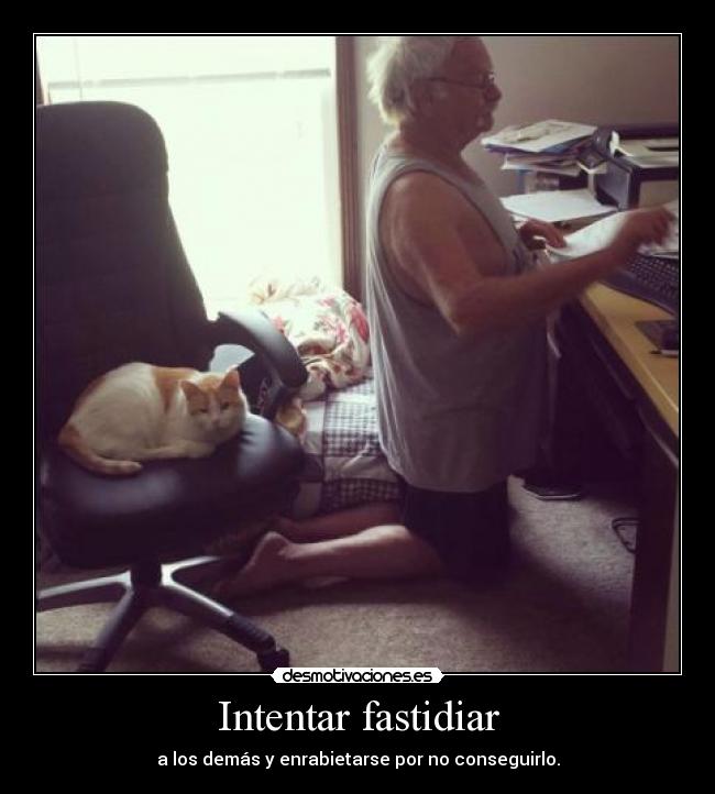 carteles d17pac pacoka que malote gato desmotivaciones