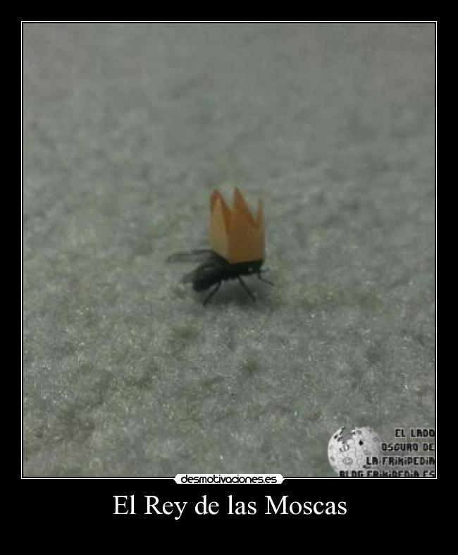 El Rey de las Moscas -