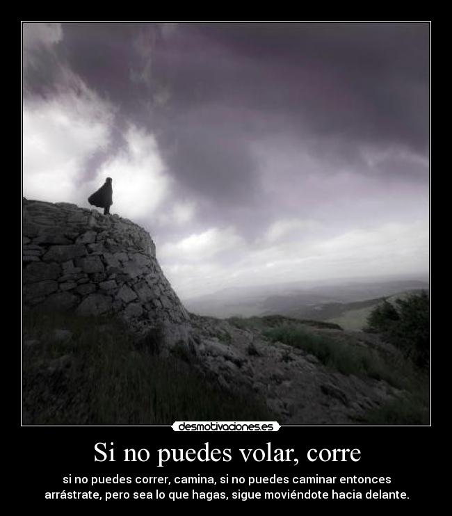 Si no puedes volar, corre - si no puedes correr, camina, si no puedes caminar entonces
arrástrate, pero sea lo que hagas, sigue moviéndote hacia delante.