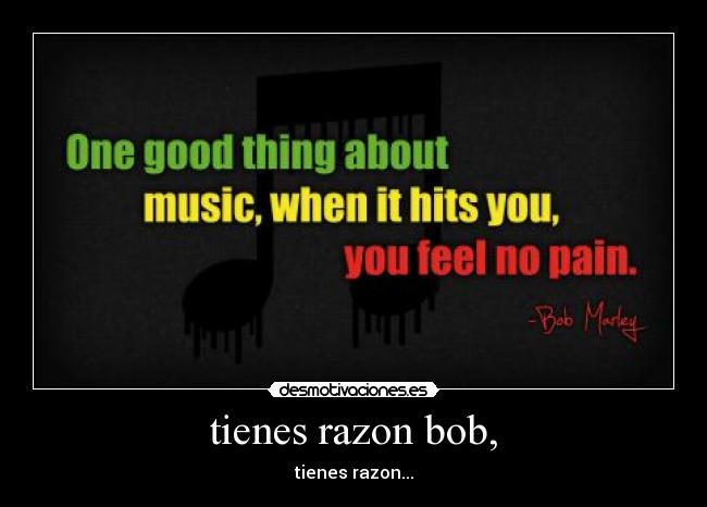 tienes razon bob, - 