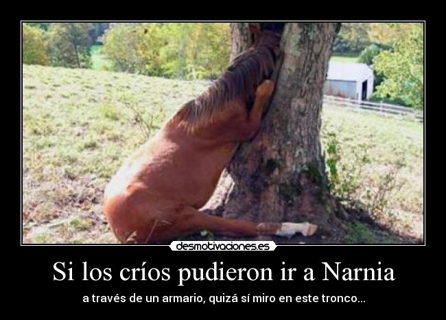 Si los críos pudieron ir a Narnia - 