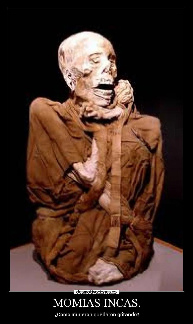 carteles sudamerica momias incas desmotivaciones