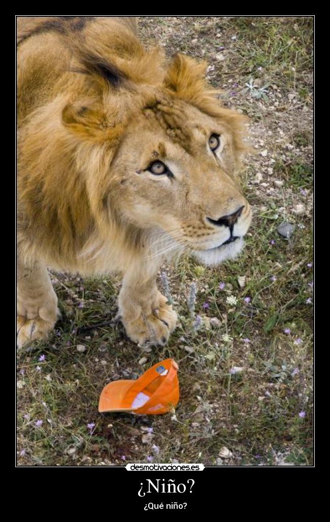 ¿Niño? - ¿Qué niño?