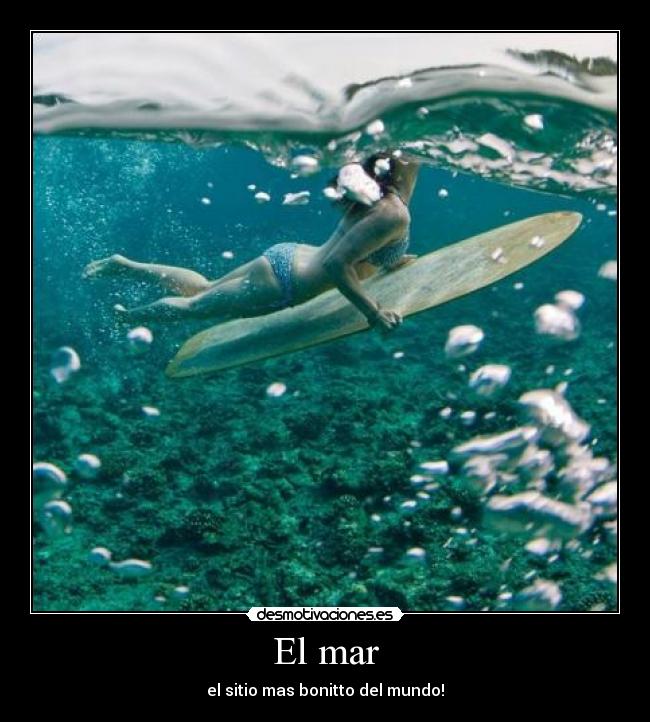 carteles mar desmotivaciones