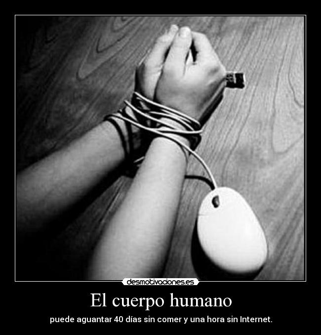 El cuerpo humano - puede aguantar 40 días sin comer y una hora sin Internet.