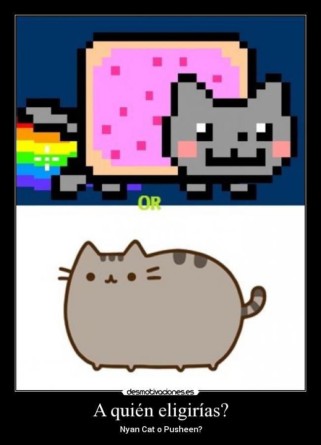 carteles pusheen nyancat desmotivaciones