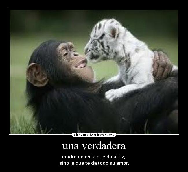 una verdadera - madre no es la que da a luz,
sino la que te da todo su amor.