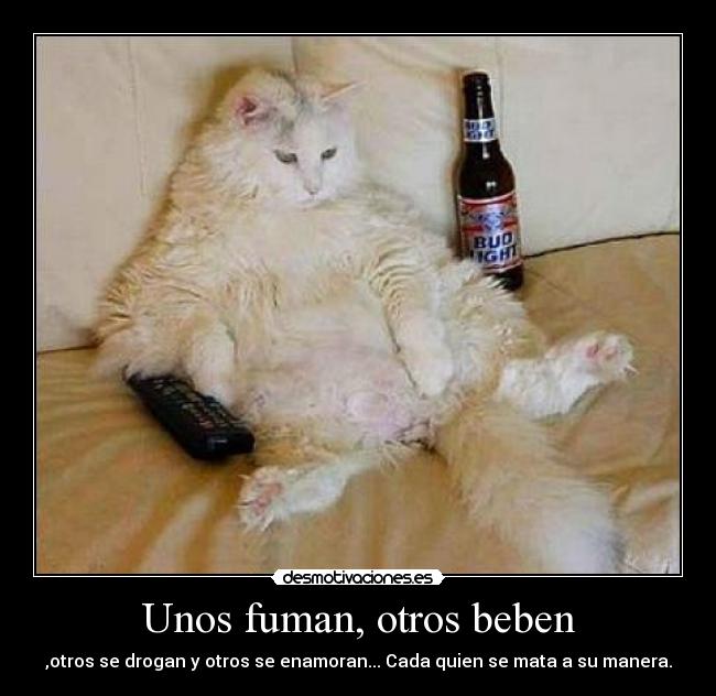 Unos fuman, otros beben - 