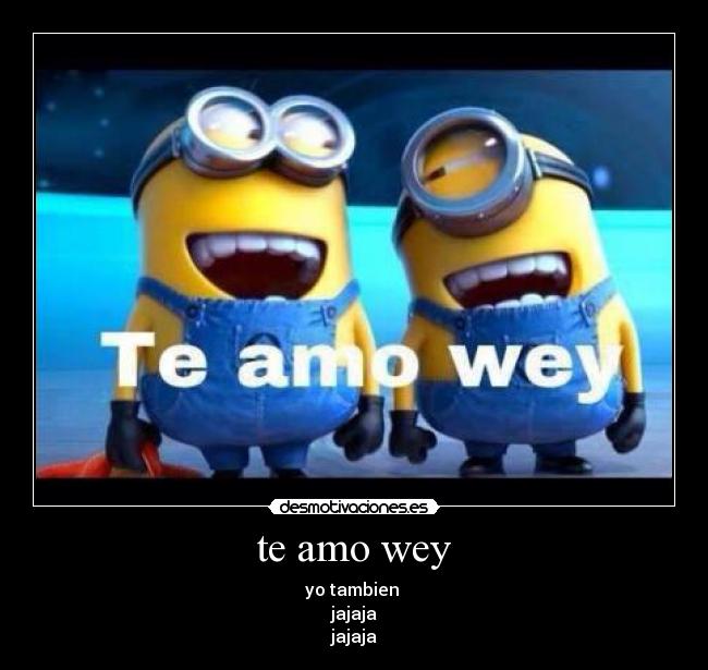 te amo wey - yo tambien 
jajaja
jajaja