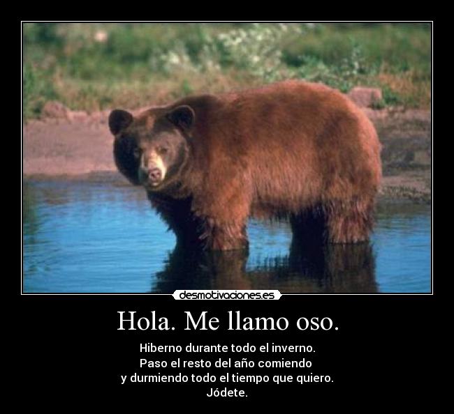 Hola. Me llamo oso. - Hiberno durante todo el inverno.
Paso el resto del año comiendo
y durmiendo todo el tiempo que quiero.
Jódete.