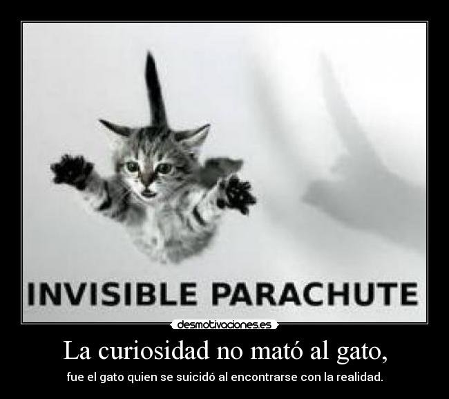 La curiosidad no mató al gato, - fue el gato quien se suicidó al encontrarse con la realidad.