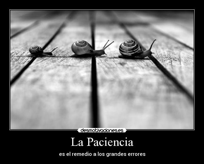 La Paciencia - es el remedio a los grandes errores