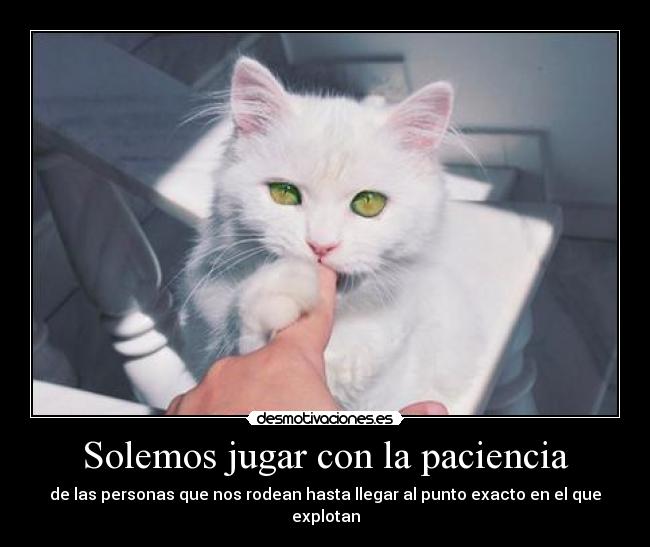 carteles hoy veo altares pubs del puerto velada noctuna fll menstruaccion dudosa desmotivaciones