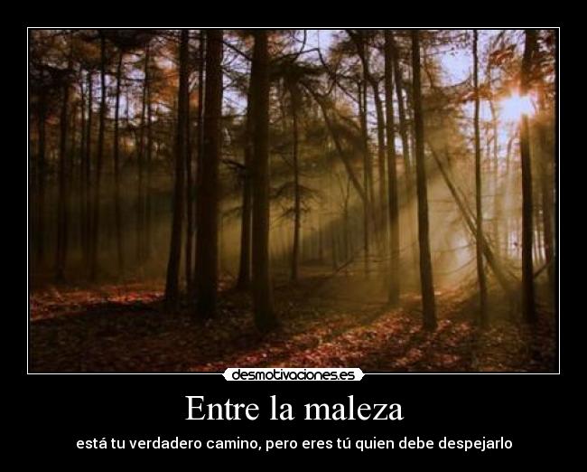 Entre la maleza -