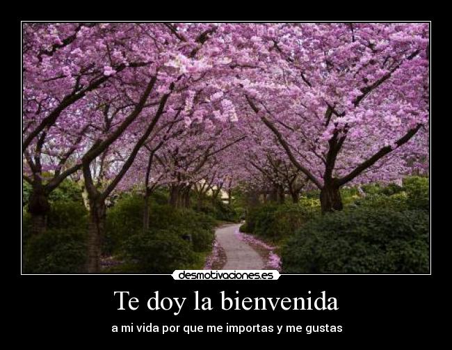 carteles amor desmotivaciones