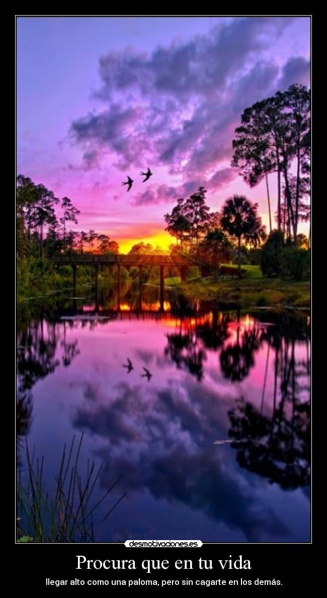 carteles vida sebastian656 made sebas desmotivaciones