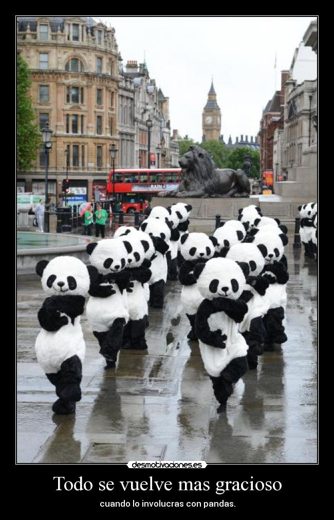 Todo se vuelve mas gracioso -