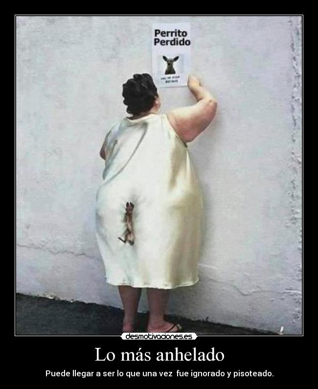 carteles mujer que absorbe cachorros con trasero desmotivaciones