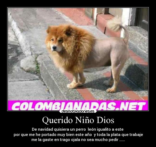 Querido Niño Dios -