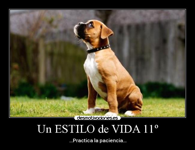 carteles vida estilo vida angy desmotivaciones