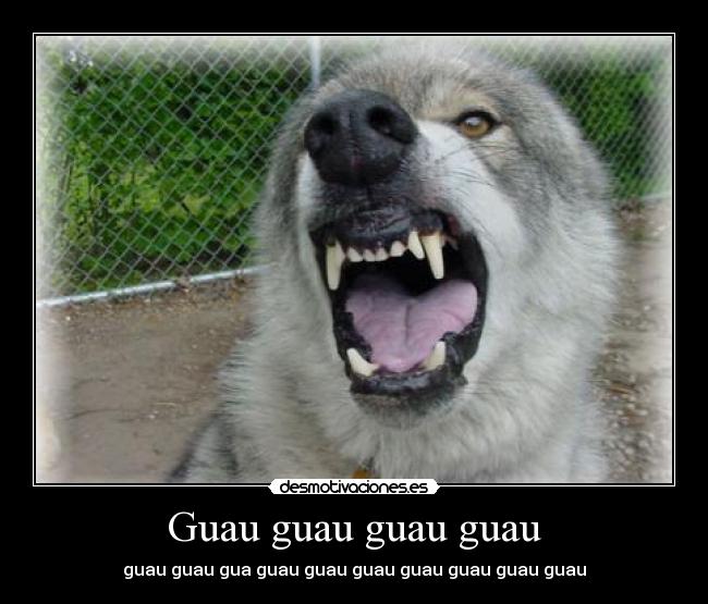 Guau guau guau guau - 